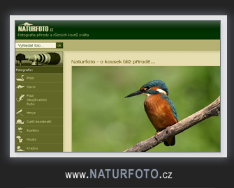 www.Naturfoto.cz